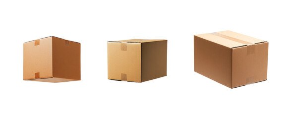 Lush indoor plants arranged in elegant pots showcasing greenery for home decor and wellness in a bright indoor setting