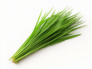 Excellent Wild leek isolated on white