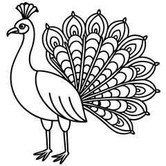 Elegant Minimalist Peacock Simple Line Art of Feathered Beauty