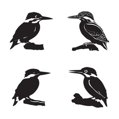 Obraz premium Kingfisher silhouette set black color vector illustration