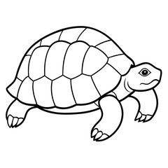 Turtle Line Art Vector Illustration