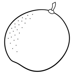 Pear Fruit Line Art Vector Illustration