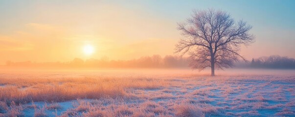 Obraz premium A serene winter landscape featuring a lone tree silhouetted against a colorful sunrise and misty fields, evoking tranquility and beauty.
