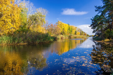 A tranquil river scene during autumn with golden foliage, clear blue skies, and reflections on the water, capturing the beauty of nature in a peaceful setting