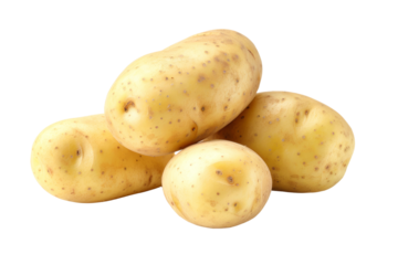A cluster of freshly harvested golden potatoes showcases their smooth skin and earthy texture, ideal for cooking and baking in diverse recipes.