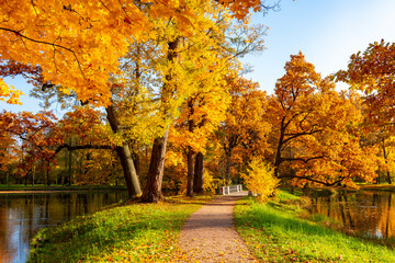 Autumn foliage in Alexander park, Pushkin (Tsarskoe Selo), St. Petersburg, Russia