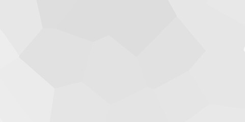 White low poly background texture. Abstract Low Poly White Background, abstract geometric background, Black and white abstract background of triangles low poly. black and white abstract low poly backg