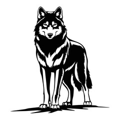 Fototapeta premium Alpha Wolf Stance