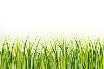 Obraz premium A soft watercolor background with green grass tones that creates a fresh and natural atmosphere, ideal for any project
