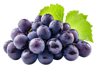 Freshly picked dark grapes with water droplets isolated on transparent background