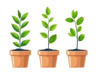 Obraz premium Three potted plants with vibrant green leaves