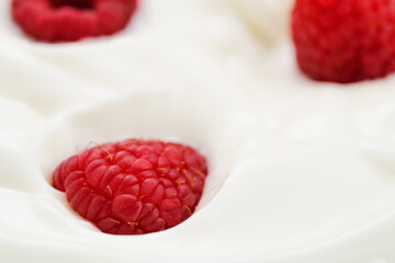 Closeup of fresh raspberries in white yogurt
