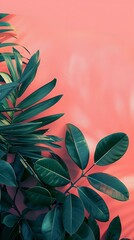 Fototapeta premium Tropical Leaves on Pink Wall Background