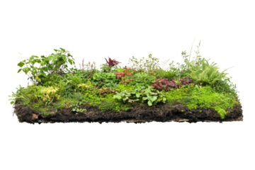 Biodiverse green roof with native plants, living roof design, on solid white background, single object.,