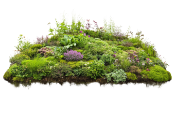 Biodiverse green roof with native plants, living roof design, on solid white background, single object.,