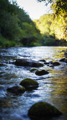 Fototapeta premium Blurred bokeh of a calm, flowing river