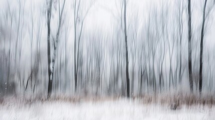 Fototapeta premium Softened snowy trees in winter forest with blurred underbrush and pale sky