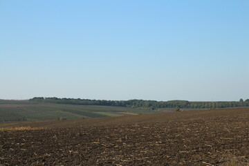 A field with a large field of crops and a blue sky with clouds