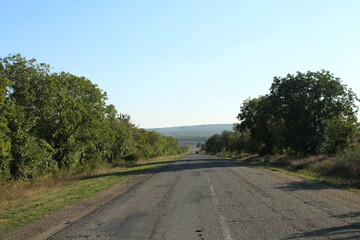 A road with trees on the side