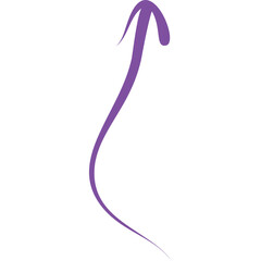 Single isolated icon with outline style icon on white background