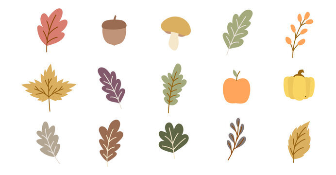 autumn fall season vector leaf mushroom acorn seed icon