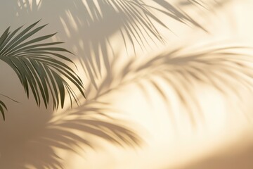 Obraz premium A close-up view of a vibrant green plant against a white wall, with a blurred shadow from palm leaves visible in the background. Beautiful simple AI generated image