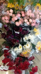 beautiful botanical shot, natural wallpaper. beautiful flowers. 