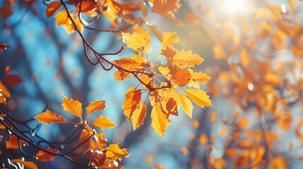 Autumn Leaves on a Branch Against a Blue Sky