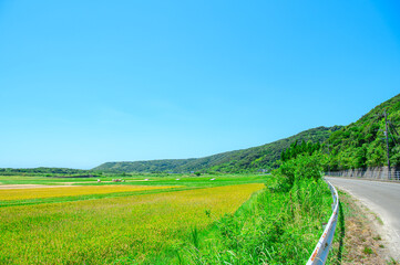鹿児島 種子島の風景
