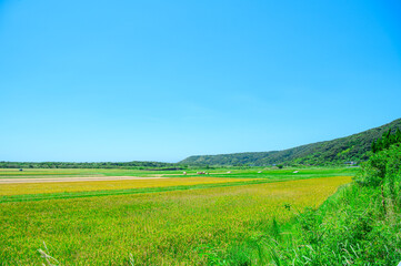 鹿児島 種子島の風景