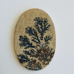 Oval psilomelane dendrite fossil