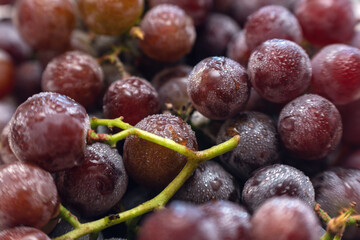 Fresh ripe red grapes with water drops, background, textures
