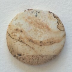 Photograph of Picture Jasper Cabochons
