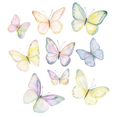 Group of pastel colored butterflies on transparent background