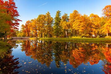 Autumn foliage in Alexander park, Tsarskoe Selo (Pushkin), St. Petersburg, Russia