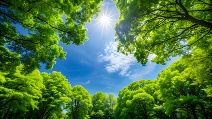 A serene natural background with lush green trees and a clear blue sky, nature, outdoor, scenic, landscape, trees, forest