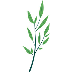 Branch with Leaves IIlustration