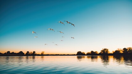 A photo of a clear blue sky with no clouds. The sky is filled with a few white birds flying in a V-formation. The sky is reflected in a calm body of water below the birds.