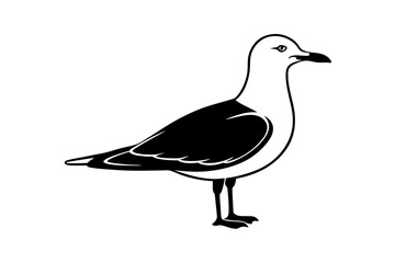 Obraz premium gull silhouette vector