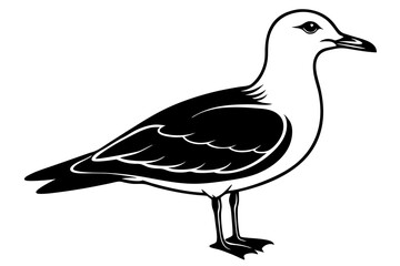 gull silhouette vector