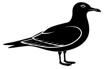 gull silhouette vector