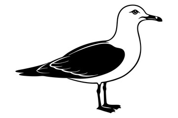 Obraz premium gull silhouette vector