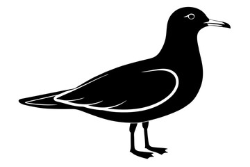gull silhouette vector