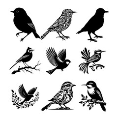 Fototapeta premium Different Types of Birds silhouette vector