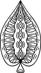 Abstract line art ornamental leaf decorative design element. Zentangle linear patterned, stylized tangle leaf. Boho hand drawn tribal illustration. 