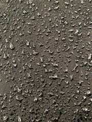 Water drops on black surface. Water droplets on dark background. Water droplets concept. Water drops on a black background. Banner with raindrops. Top view.