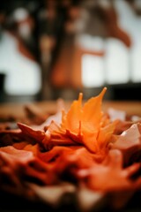 Warm Autumn Bokeh and Nature Background Collection Blurry Seasonal Foliage and Floral Backgrounds