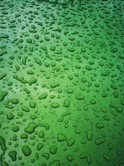 Water drops on green surface. Water droplets on green background. Water droplets concept. Water drops on a green background. Banner with raindrops. Top view.