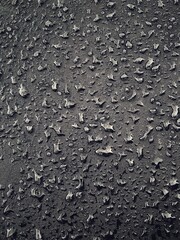 Water drops on black surface. Water droplets on dark background. Water droplets concept. Water drops on a black background. Banner with raindrops. Top view.