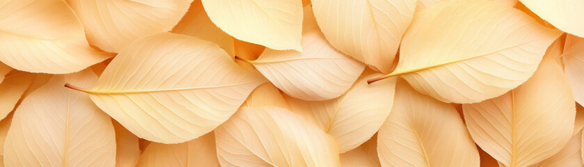 A close up of a bunch of leaves with a yellowish tint